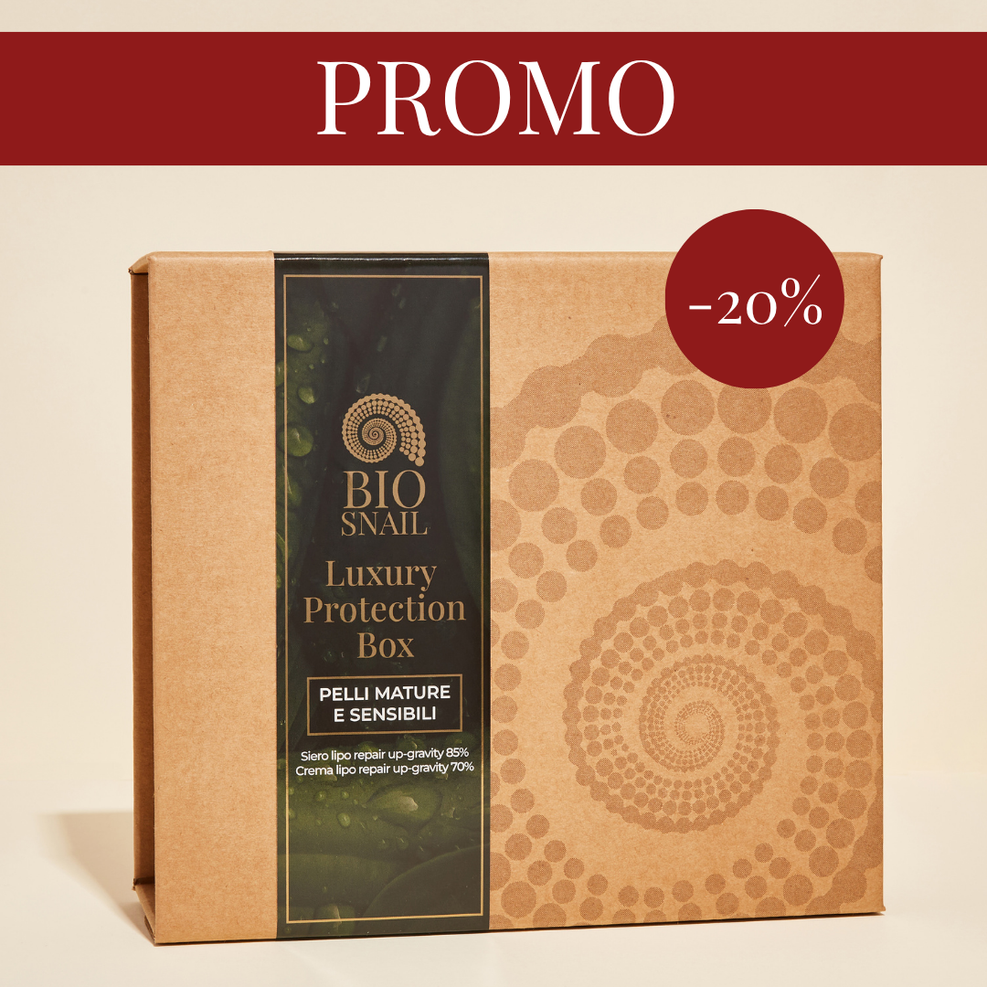 Luxury Protection Box